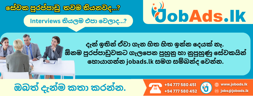 JobAds.lk 10