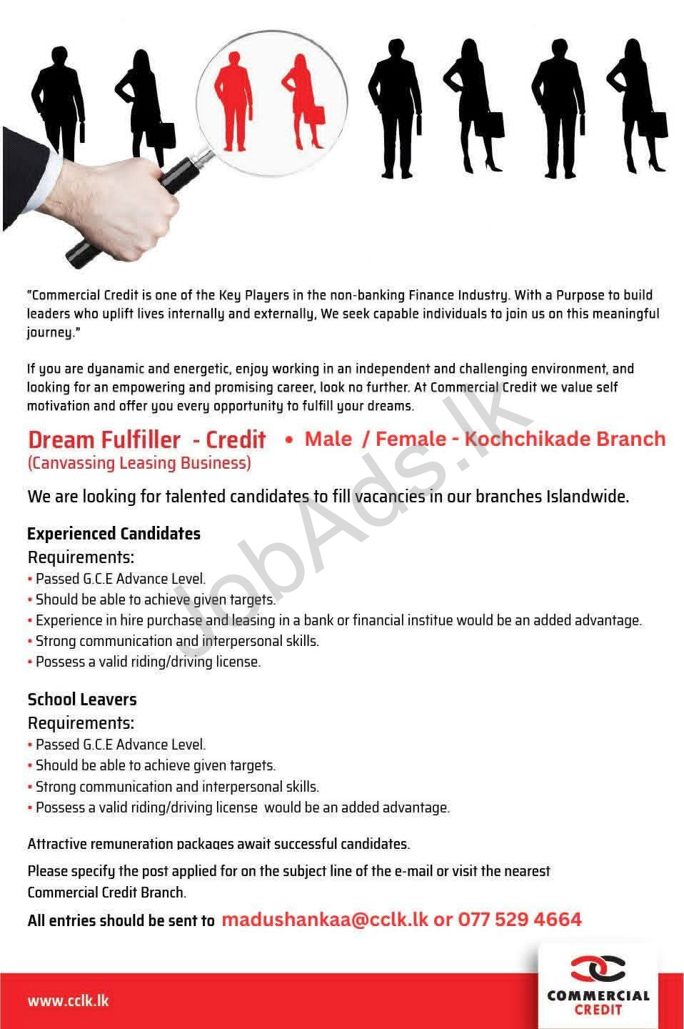 Company banner