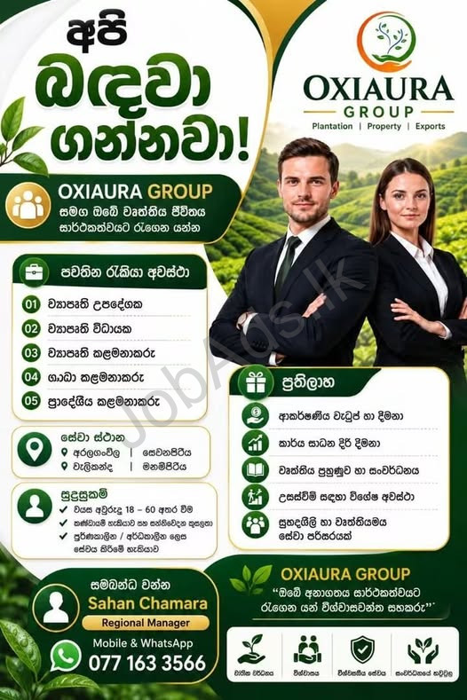 Company banner