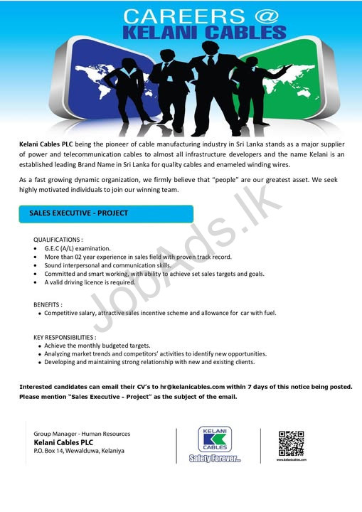 Company banner