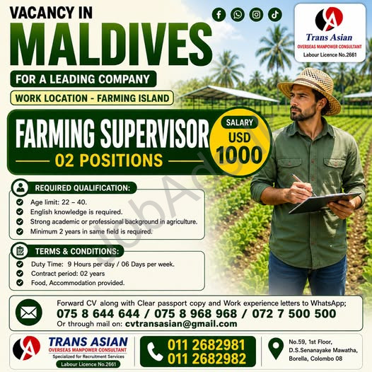 Company banner