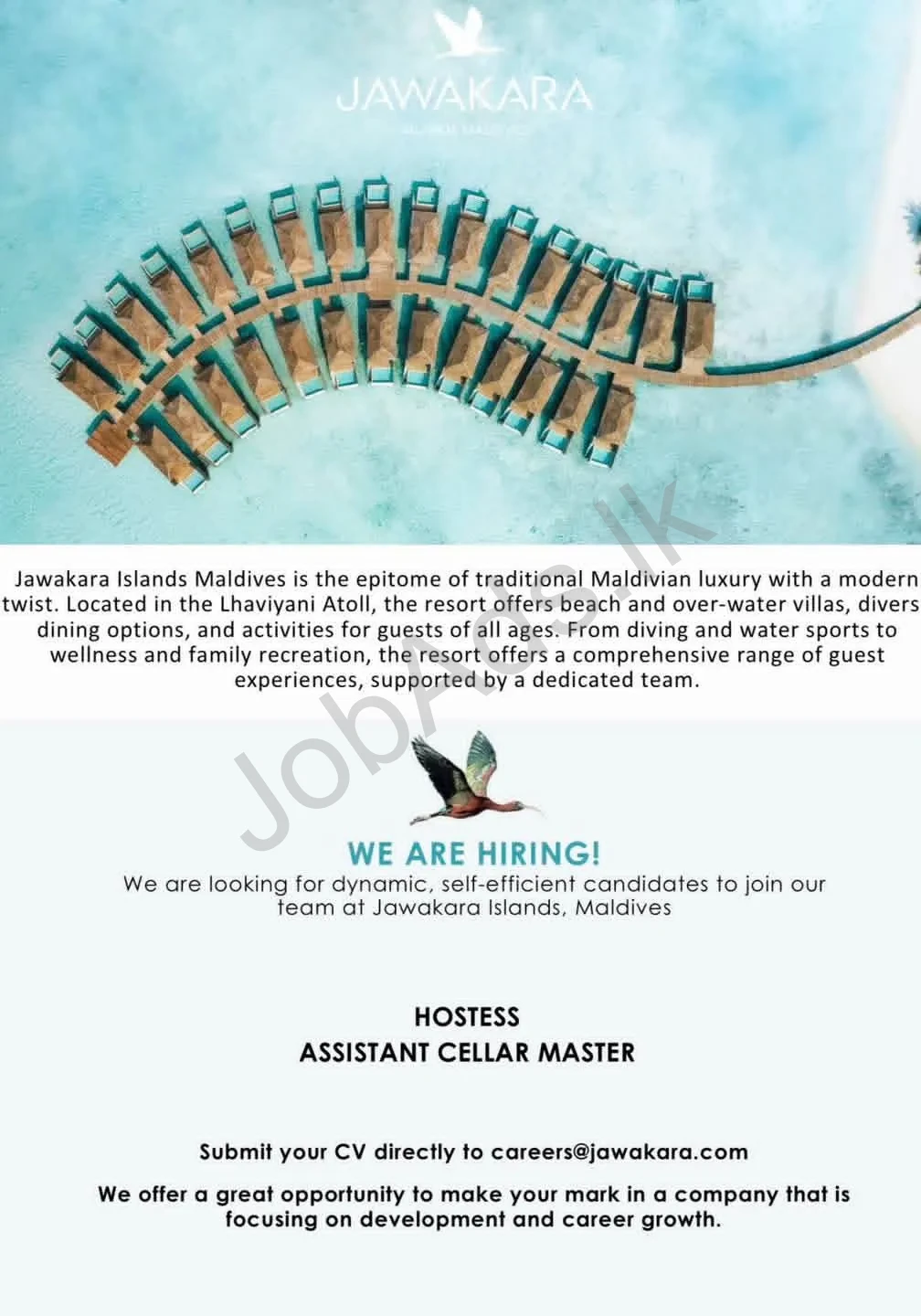 Company banner