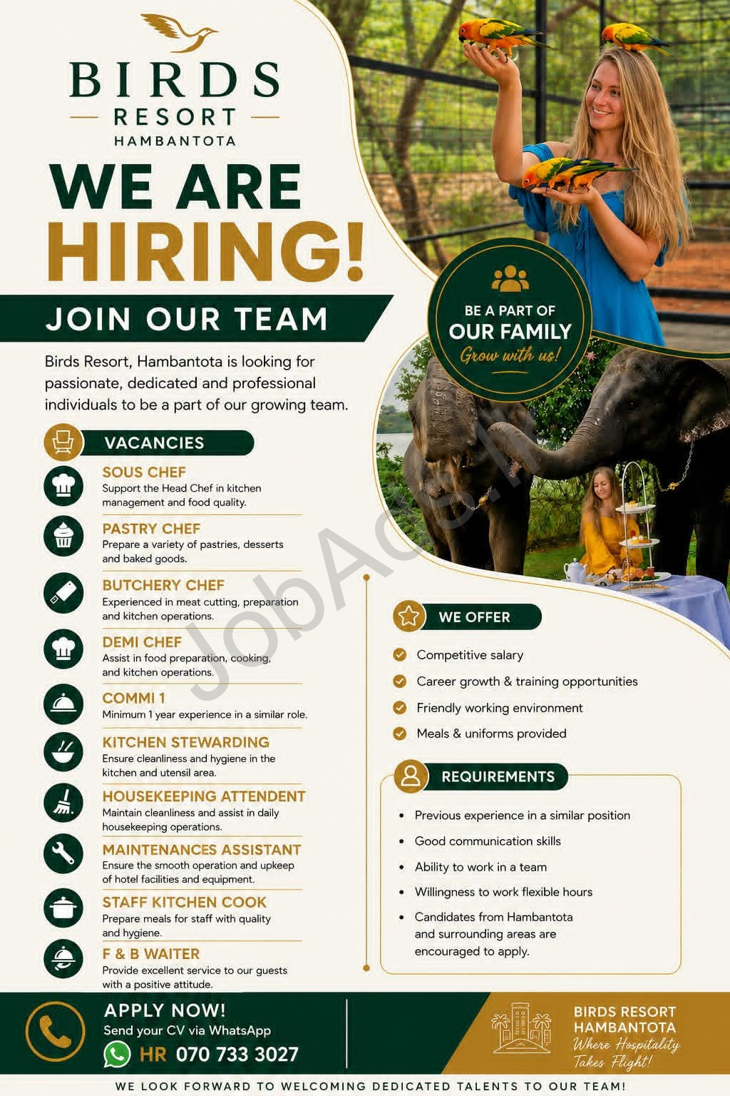 Company banner