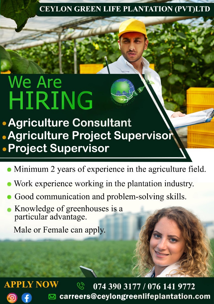 Company banner