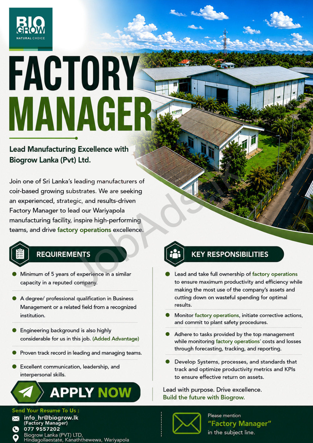 Company banner
