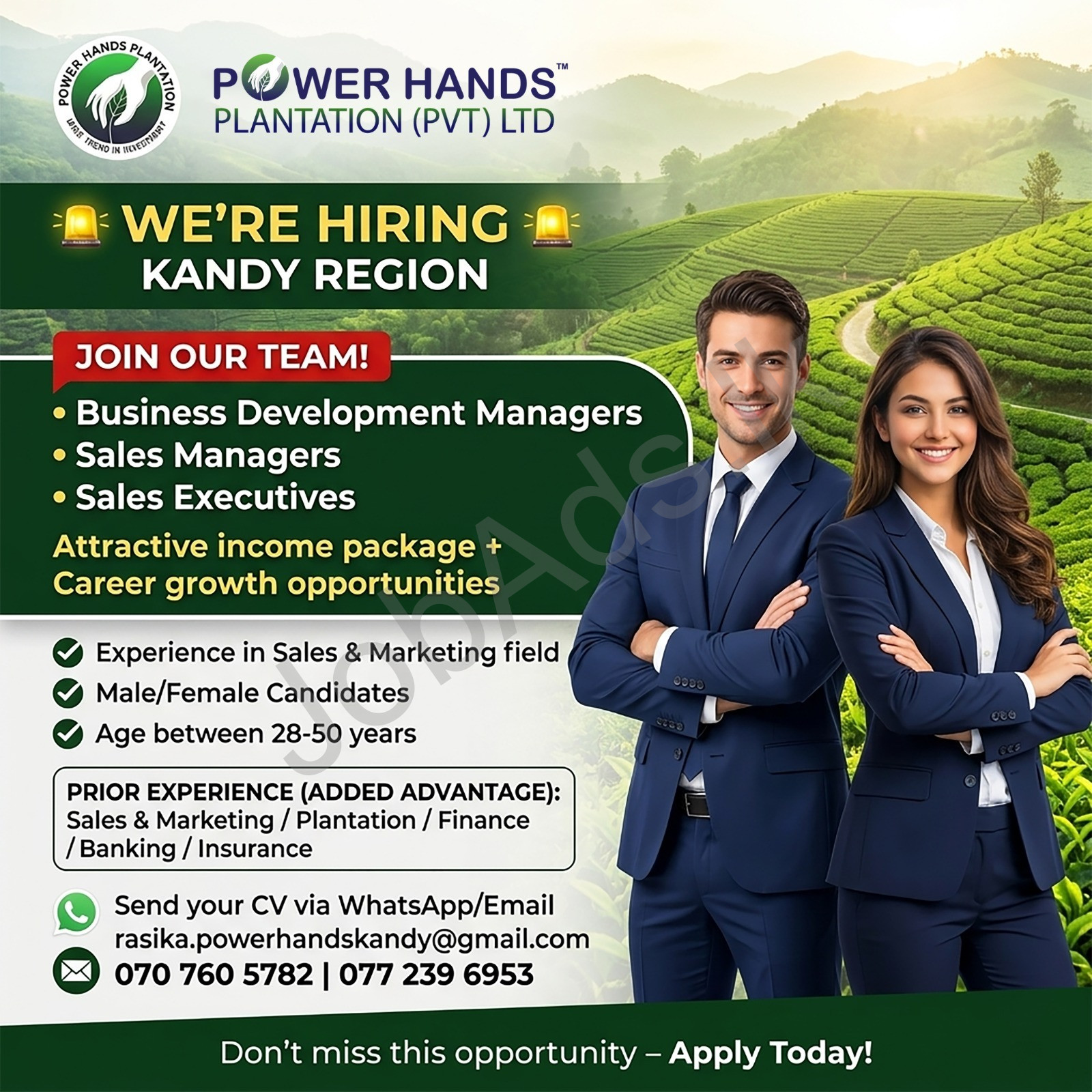 Company banner