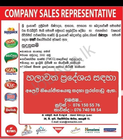 Company banner