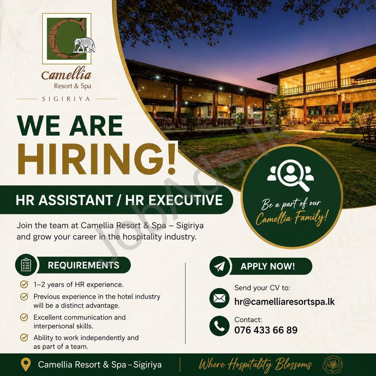 Company banner