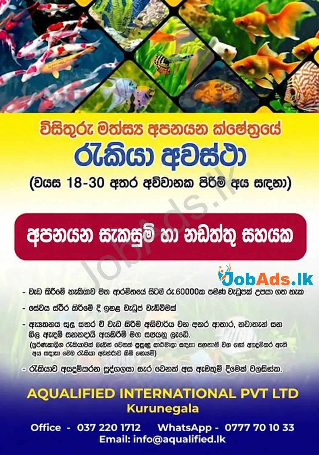 Company banner