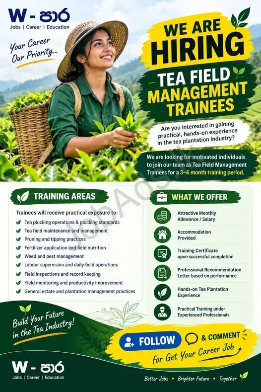 Company banner