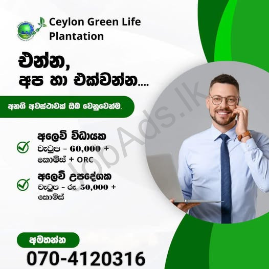 Company banner
